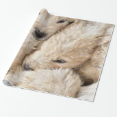 パピズバレンタインズデイラッピング紙 ラッピングペーパー (アンロールド)