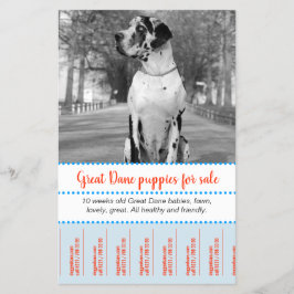 パピズフライヤーの販売 チラシ