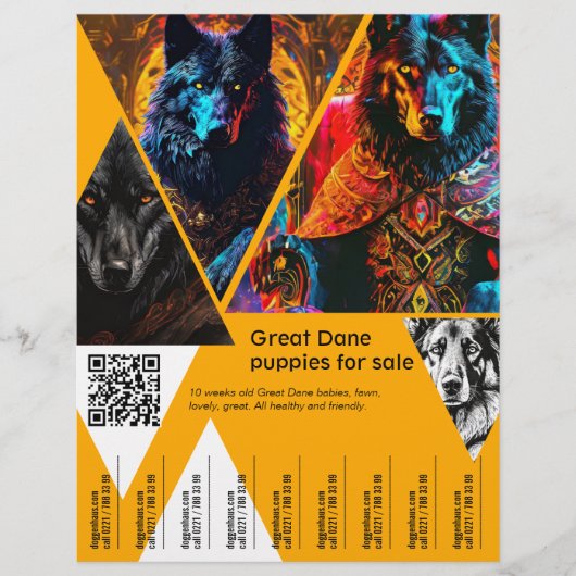 パピズフライヤーの販売 チラシ (正面)