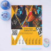 パピズフライヤーの販売 チラシ (シングル)