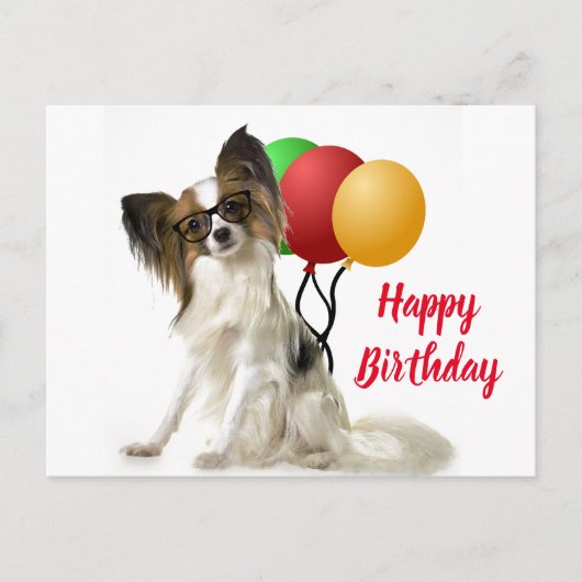 パピヨンの犬のポストカード（誕生日メッセージ付き） ポストカード (正面)