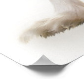 パピヨンドッグポートレート ポスター (角)