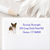 パピヨンパピードグブルー ラベル (インサイチュ)