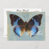 パピヨンブルー ポストカード (正面/裏面)