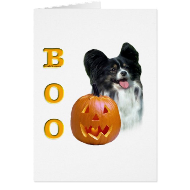 パピヨンブー (正面)