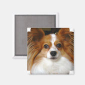 パピヨン角磁石 マグネット (正面/裏面)