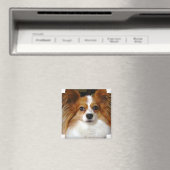 パピヨン角磁石 マグネット (インサイチュ (食洗機))