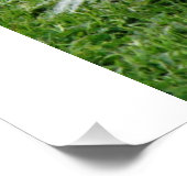 パピヨン_inモーション ポスター (コーナー)