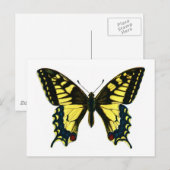 パピリオ・マカオン ポストカード (正面/裏面)