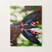 パピリオRumanzovia蝶。 ジグソーパズル (縦)