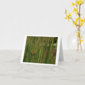 パピルス カード (黄色い花)