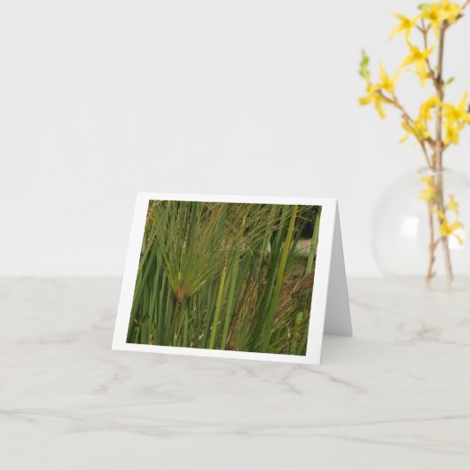 パピルス カード (黄色い花)