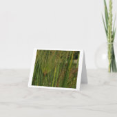 パピルス カード (正面)