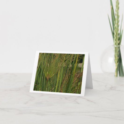 パピルス カード (正面)