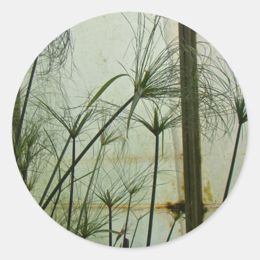 パピルス ラウンドシール (正面)