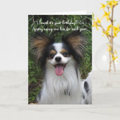 パピロンあなたはどのように古い誕生日カード カード (黄色い花)