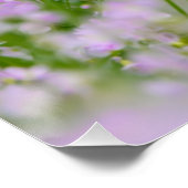 パピロン犬かわいいロマンチックなポートレート写真 –  ポスター (コーナー)