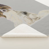 パピロン犬 シェルパブランケット (3/4)