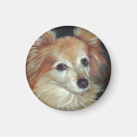 パピロン磁石 マグネット (正面)