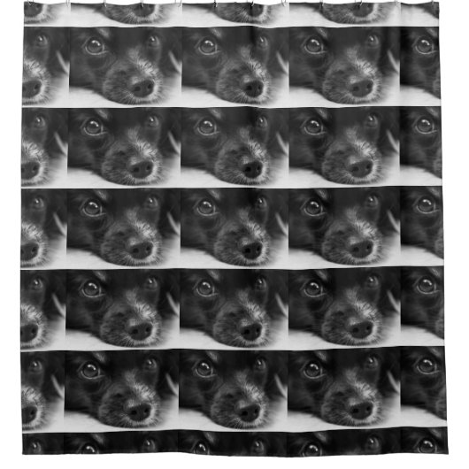 パピロン顔 シャワーカーテン (正面)