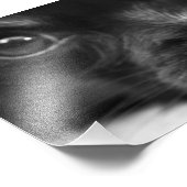 パピロン顔 フォトプリント            (角)