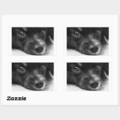 パピロン顔 長方形シール (シート)