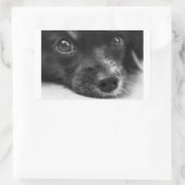 パピロン顔 長方形シール (バッグ)