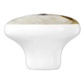 パピロン（ハウンドトリ）絵画ズ – オリジナルドッグアート セラミックノブ (側面)