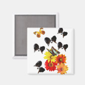 パピロン・バタフライ・ギフト マグネット (正面/裏面)