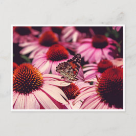 パピロン ポストカード