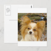 パピロン ポストカード (正面/裏面)