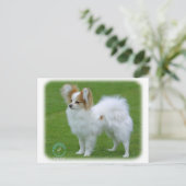 パピロン ポストカード (スタンド正面)