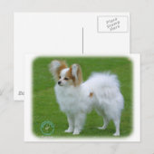 パピロン ポストカード (正面/裏面)