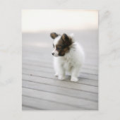 パピロン ポストカード (正面)