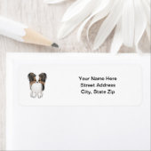 パピロン(写真) ラベル (インサイチュ)