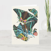 パピロン | Emile-Allain Segy カード (正面)