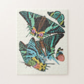 パピロン | Emile-Allain Segy ジグソーパズル (縦)