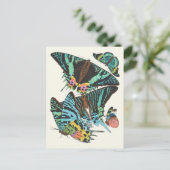 パピロン | Emile-Allain Segy ポストカード (スタンド正面)