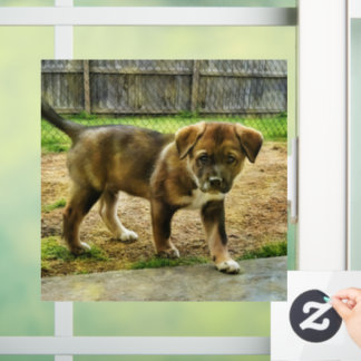 パピーのキュリティTシャツの窓が引っかかる ウィンドウサイン