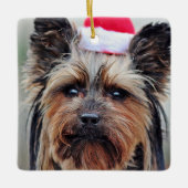 パピークリスマスホリデーペットオーナメント セラミックオーナメント (正面)