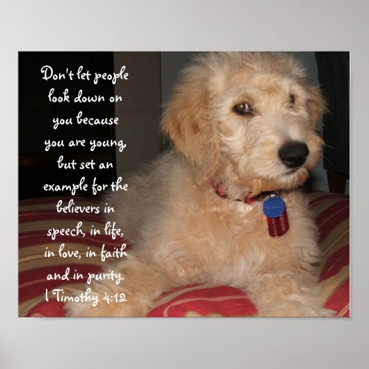 パピーサム ポスター (正面)