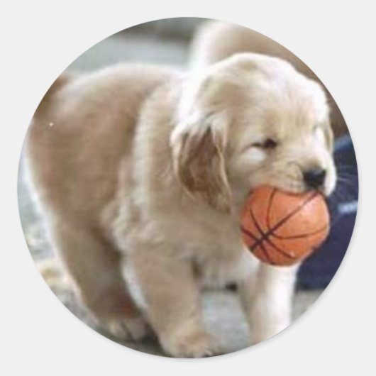 パピーステッカー ラウンドシール (正面)