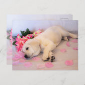 パピースリープフラワー01 案内ポストカード (正面/裏面)