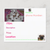 パピーチラシ チラシ (正面)