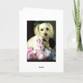 パピーバニーイースターカード シーズンカード (裏面)