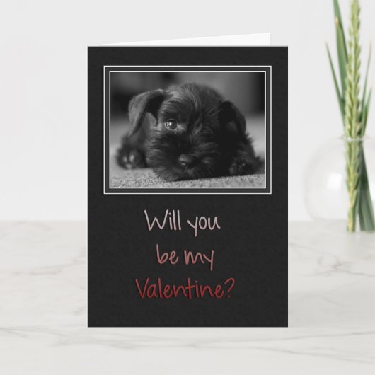 パピーバレンタイン シーズンカード (正面)