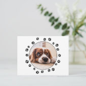 パピーフォトブラックの足跡 ポストカード (スタンド正面)