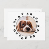 パピーフォトブラックの足跡 ポストカード (正面/裏面)