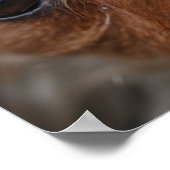 パピーポスター ポスター (角)