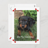 パピーラブバレンタインデーのはがき シーズンポストカード (正面/裏面)